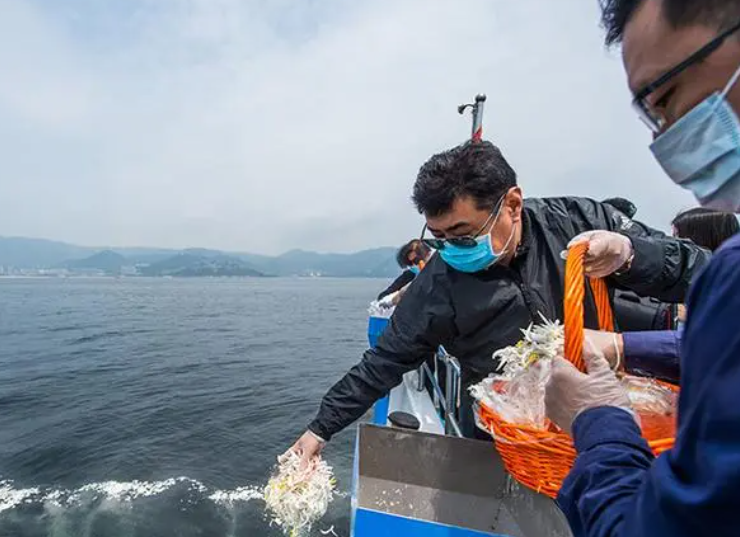  北京海葬现在排到几几年了？北京海葬需要去哪里办理？