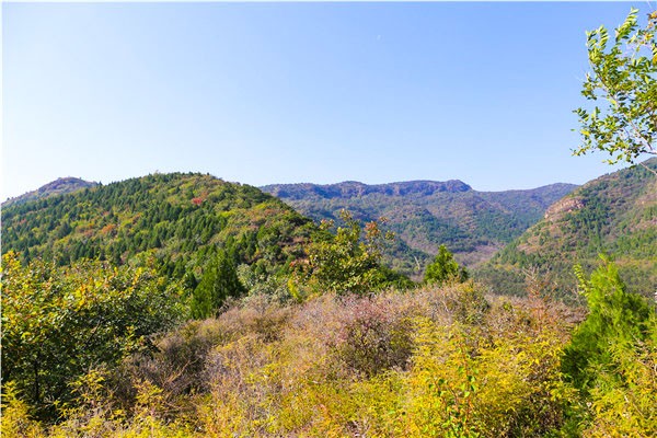  七王坟公墓地址,七王坟公墓有免费班车吗？